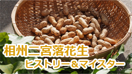 相州二宮落花生ヒストリー&マイスター