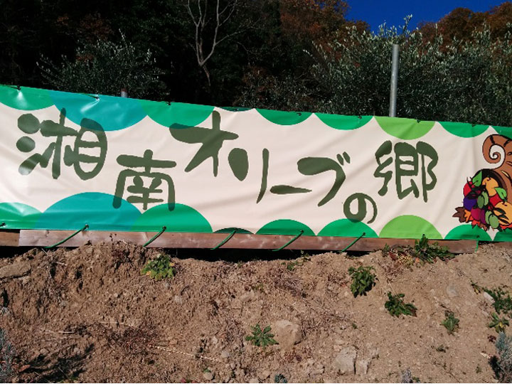 湘南オリーブ生産者　濱田治郎氏