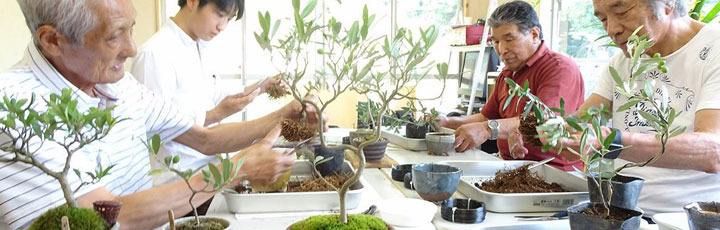 湘南オリーブ生産者　濱田治郎氏